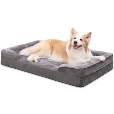 Best Dog Beds 2025