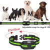 Dog Shock Training Collar with IP67 Waterproof Receiver