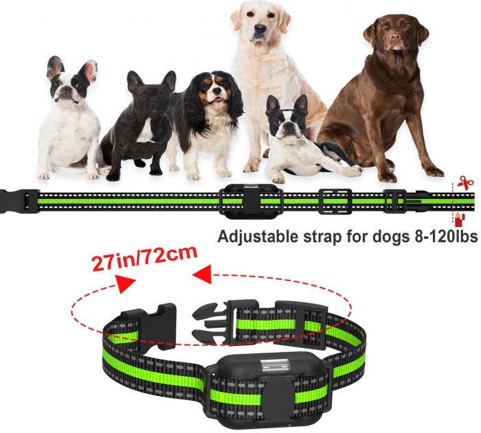 Dog Shock Training Collar with IP67 Waterproof Receiver