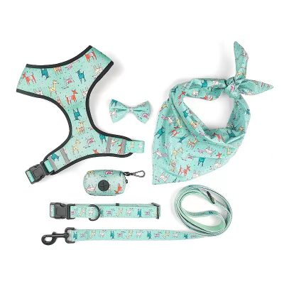 Dog Collar Leash and Harness Set for Puppy
