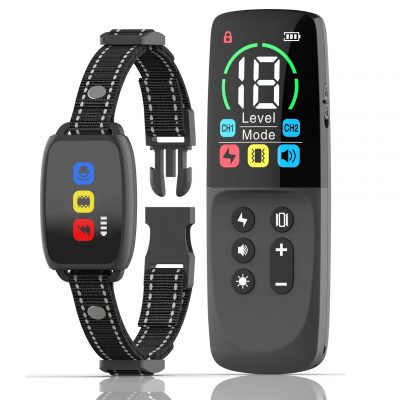 Dog Training Collar with Remote Color Clear Bright