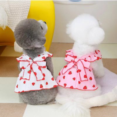 Elevate Your Puppy Style & Comfort with Premium Dog Clothes