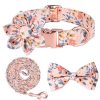 Ultimate Dog Collar Set for Your Furry Friend