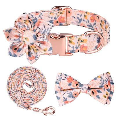 Ultimate Dog Collar Set for Your Furry Friend