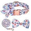 Ultimate Dog Collar Set for Your Furry Friend